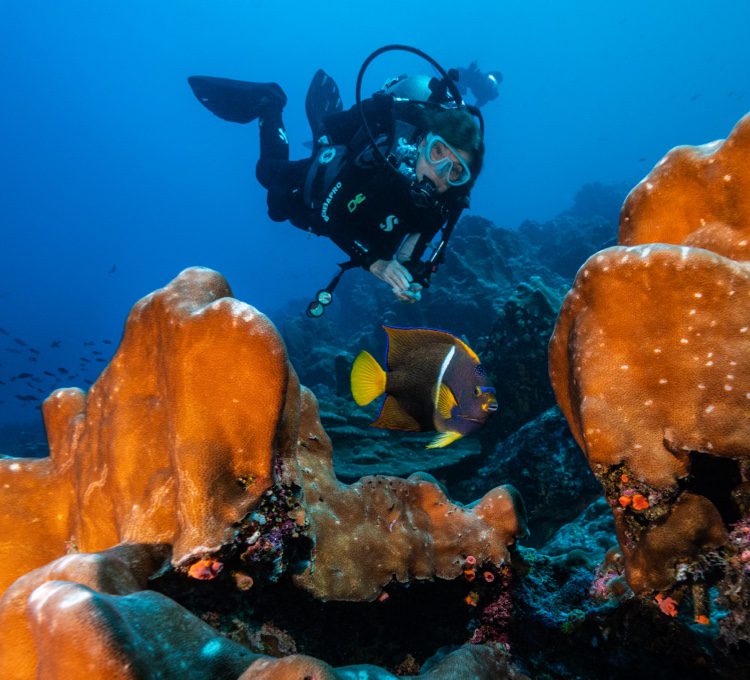 07.Two Column MB Galapagos 22fg 078 sRGB 750x680 portrait